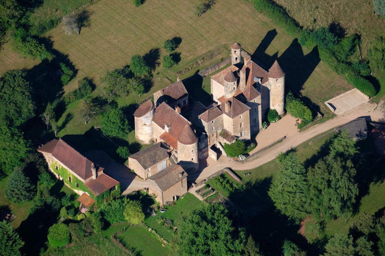 Chateau De Balleure Etrigny Exterior foto