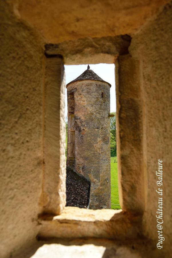Chateau De Balleure Etrigny Exterior foto